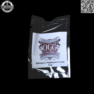 Obsoul33t Genetics Group Ethiopian Highland x Irene Alien OG 10 Regular Seeds