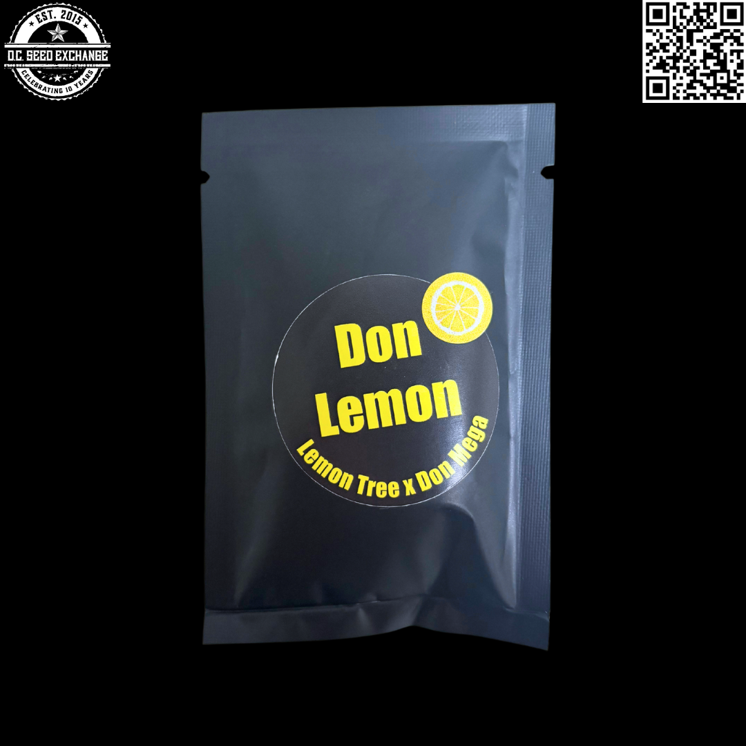 Solfire Gardens Don Lemon (Lemon Tree x Don Mega) 6 Feminized Seeds