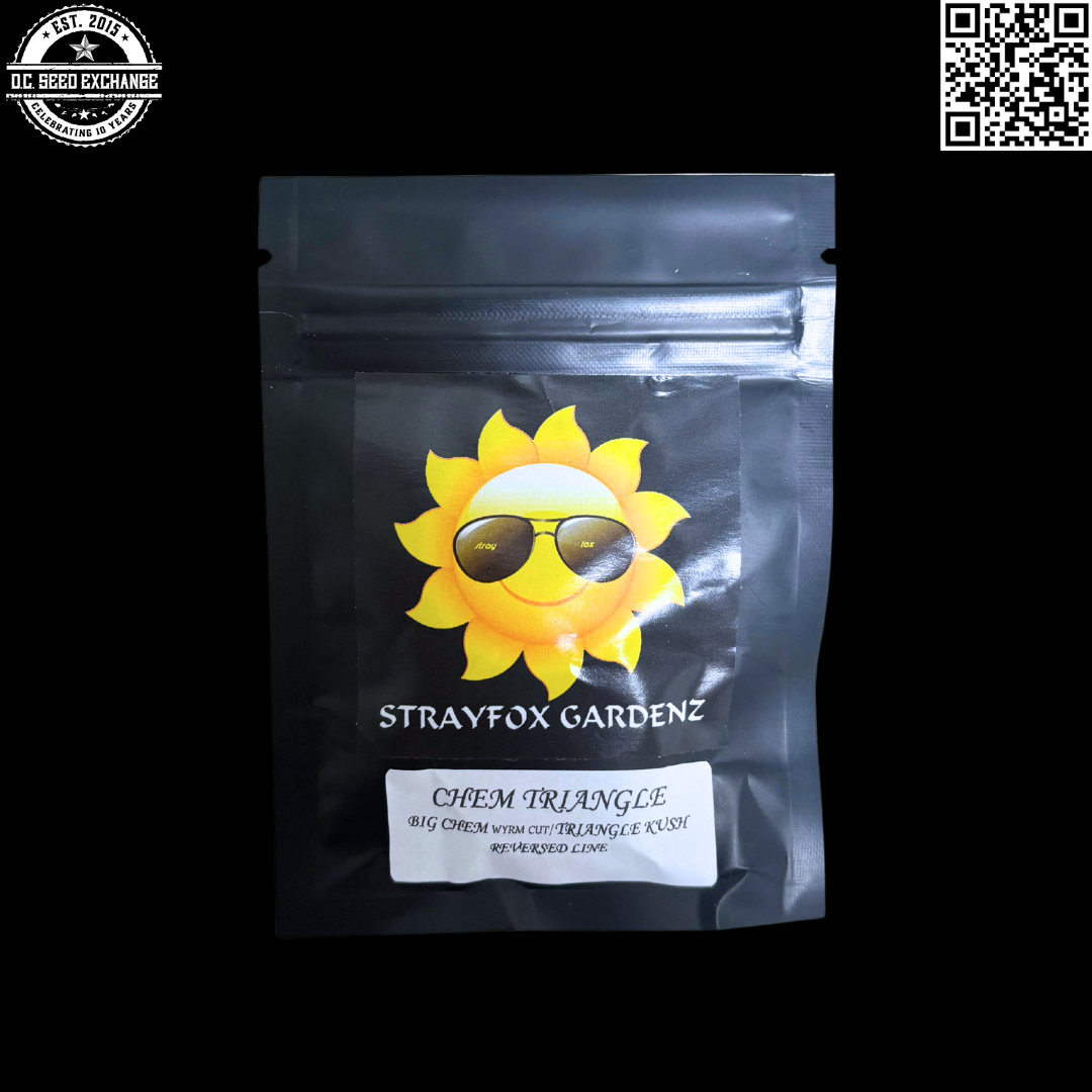 Strayfox Gardenz Chem Triangle (Big Chem [Wyrm Cut] x Triangle Kush) 7 Feminized Seeds