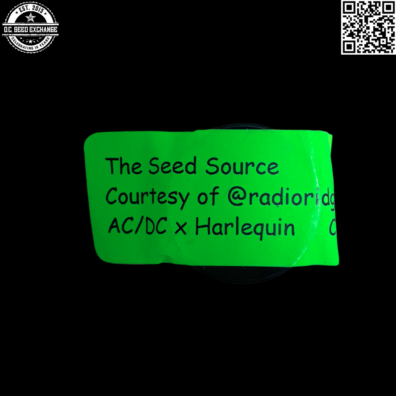 The Seed Source Radio Ridge Nursery AC/DC x Harlequin 5 Regular Seeds