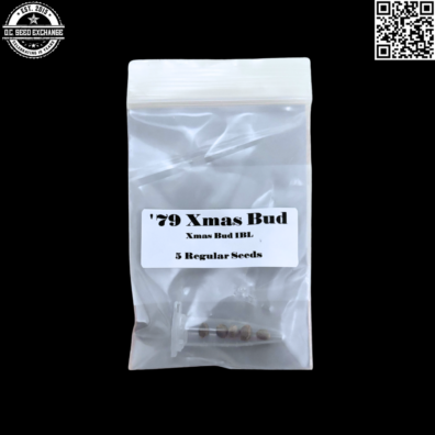 CSI Humboldt Pirates of the Emerald Triangle 79 Xmas Bud IBL 5 Regular Seeds