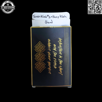 Green Bodhi Tenzin Kush #2 x Hazy Kush 10 Feminized Seeds