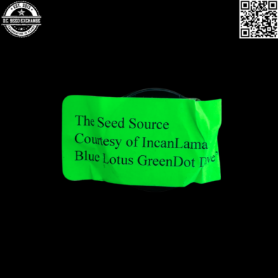 Incan Lama Blue Lotus x Good Medicine 5 Regular Seeds