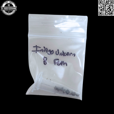 Mass Medical Strains Indigo Unicorn (Purple Unicorn x Indigo Child) 7 Feminized Seeds