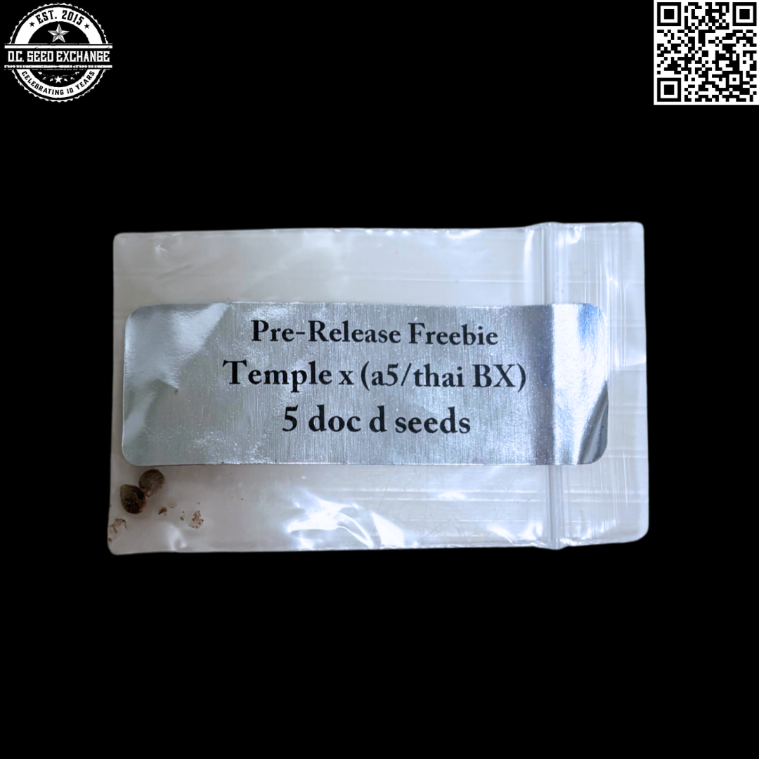 Doc D Seeds Temple x (A5/Thai BX) 5 Regular Seeds