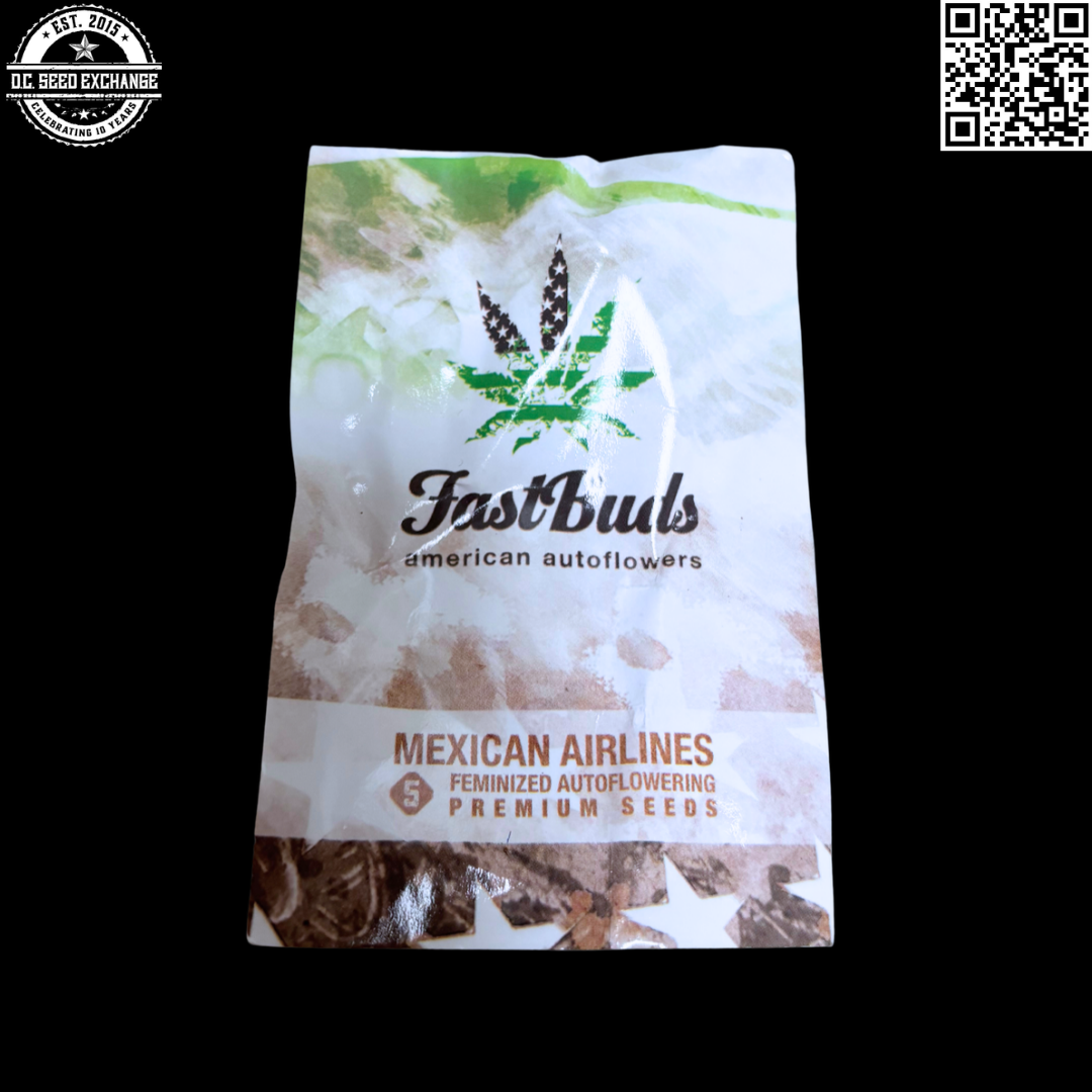 42 Fast Buds Mexican Airlines 5 Feminized Autoflower Seeds